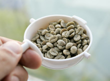 zielona kawa